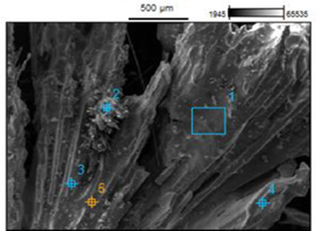 corrosion_case_resized_2 corrosion_case_resized_2